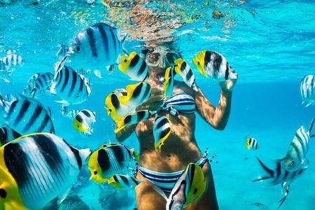 Tiran Island Snorkeling Trip by Boat Full Day