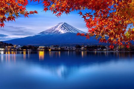 Mt. Fuji Private Day Trip from Tokyo with English-Speaking Driver