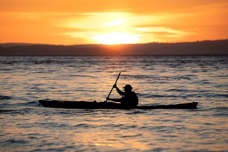 Vancouver Island: 2-Hour Evening Kayak Tour from Telegraph Cove
