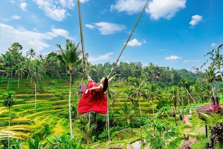 Ubud Private Tour: Waterfalls, Temple and Rice Terraces Swing 