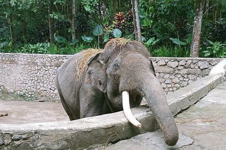 Lombok Wonders : waterfalls, traditional village & wildlife park