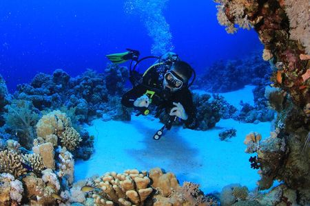 6 Dives by Boat or by Shore