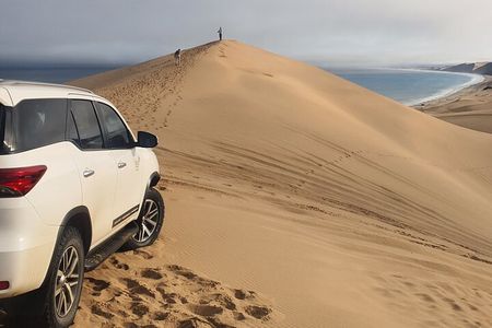 Sandwich Harbour Dunes & Ocean 4x4 Experience from Walvis Bay