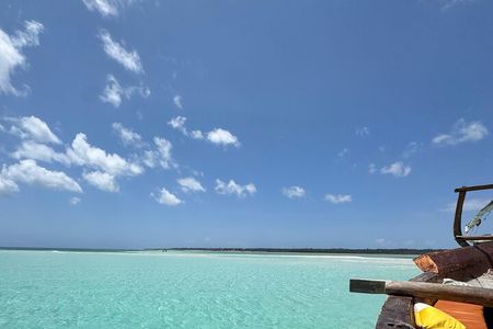 Discover the island of Mnemba, among dolphins and corals!