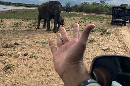 Yala Safari Day Tour