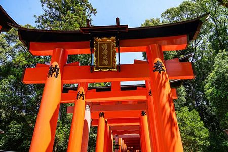 Kyoto: Top 3 Highlights Tour — Fushimi Inari, Nijo & Kinkaku-ji