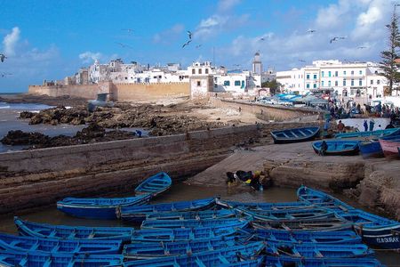 Essaouira Day Trip from Agadir Explore the Medina and More
