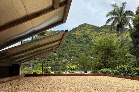 Sueños de Cafe - A Coffee Lovers Dream 