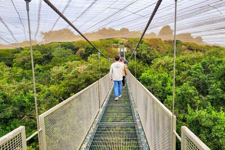Aviary Tour and Tricao Park with Tasting in Undurraga Vineyard
