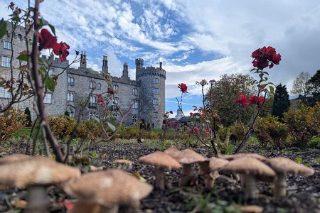 Private walking Tour of Kilkenny. English, French or German