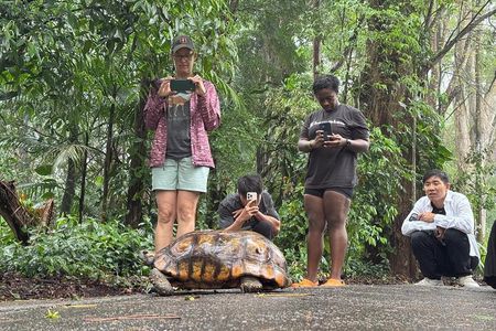 Tijuca Forest: Tour with Waterfalls and Caves