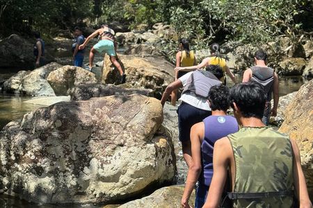 Private El Yunque Rainforest Tour And Brunch At The Beach