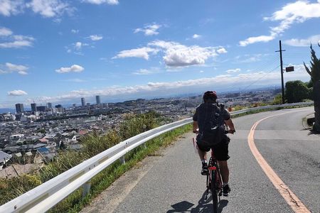 Osaka Half-day E-bike Tour: Minoh Falls, Katsuoji Temple