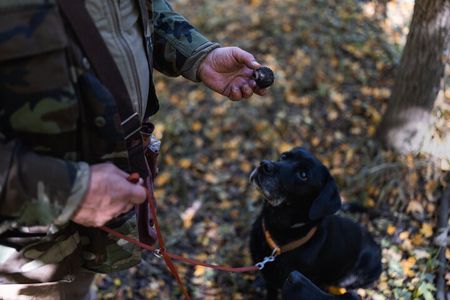 Truffle Hunt with Foie Gras & Wine Tasting with Budapest Pickup
