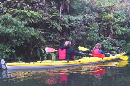 Glowworm Kayak Adventure on the Waikato River