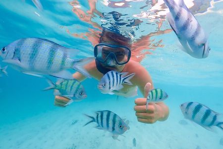 Bacardi Island Excursion with Catamaran, Beach and Lunch
