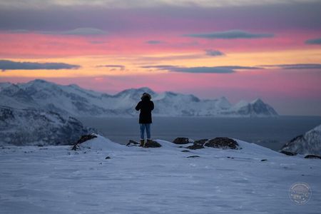Arctic Roadtrip: fjords with scenic picnic | Small group 4x4 Van