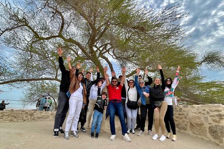 Shore Excursions from Port for Cruisers in Bahrain