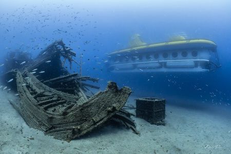 Submarine Safaris Lanzarote