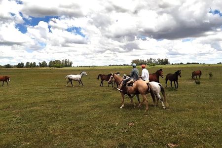 Horseback Riding Tour and Asado in Argentine Countryside