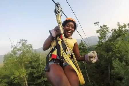 Buggy Horses and Zip Line from Punta Cana with Lunch Included