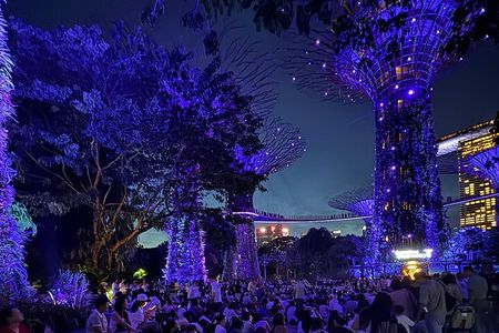 Garden Rhapsody, Spectra Show & Singapore River Cruise Night Tour