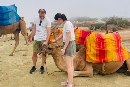 Bestseller TANGIER PRIVATE TOUR: Highlights, Camels & Old Town 