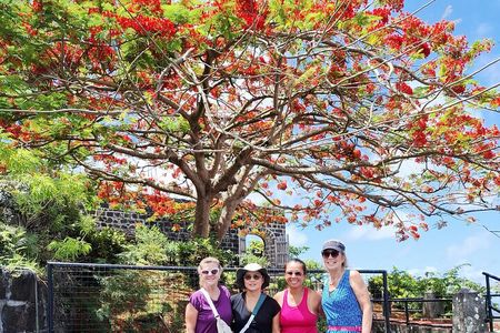 Heart of Grenada Heritage Adventure