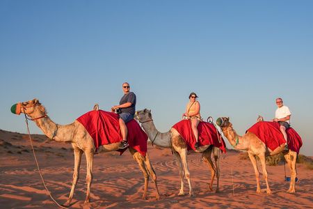 Premium Dubai Red Dune Camel Trekking, Desert Safari and BBQ