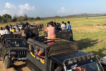 Sri Lanka 4 Day Private Wildlife & Beach Tour – Yala, Ella, Galle