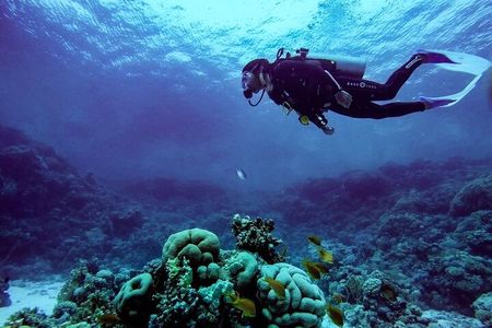 Marsa Mubarak Snorkeling Trip with One intro Dive From Marsa 