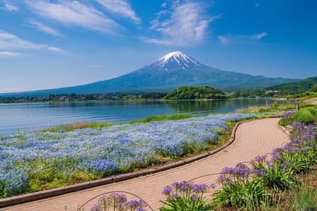Private Mt Fuji Tour with English Speaking Driver