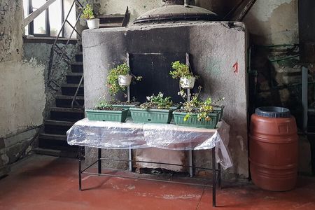 Communist Winery: Tour, Tasting and Lunch