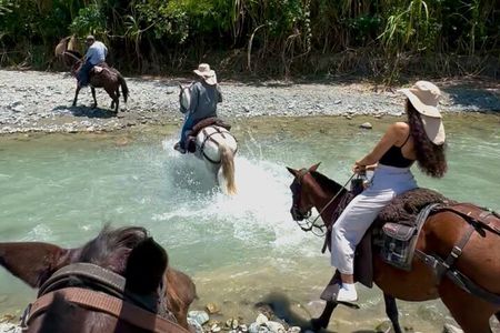 Authentic Colombian Horseback Ride