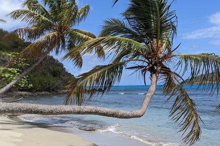 St John - Customized Adventure Tour With Flexible Itinerary 7.5HR