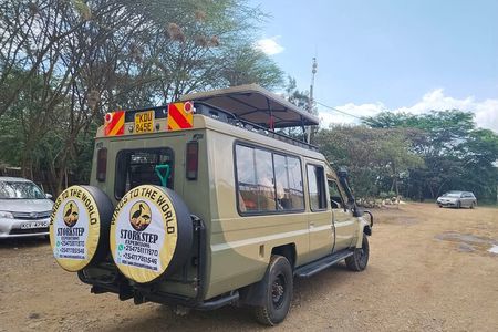 Half day Guided Game Drive Safari in Nairobi Park by 4x4 Jeep