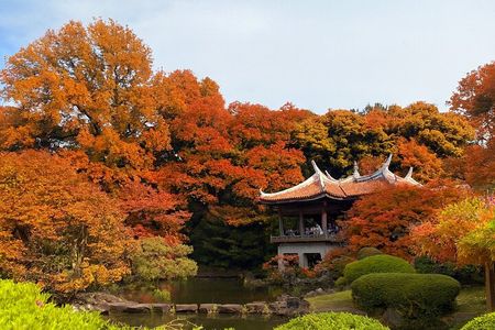 Discover the History of Shinjuku Gyoen – Private Walking Tour