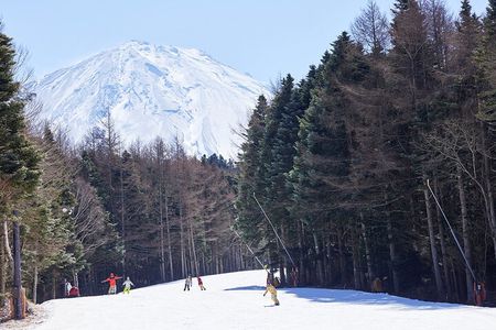 Mt. Fuji View with Fujiten Snow Fun & Oishi Park Tour from Tokyo