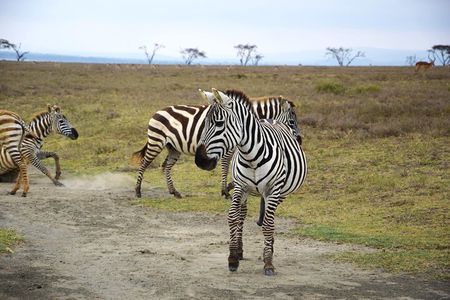 Hells Gate with Hiking Biking Climbing and Camping in Kenya
