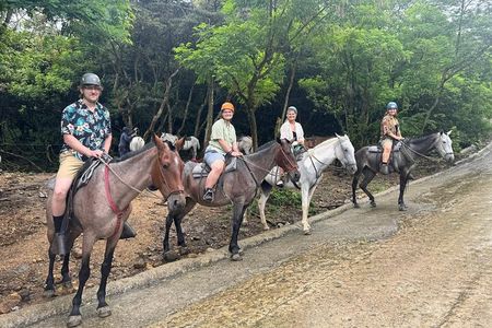 Miravalles Expedition : Horseback Riding, Waterfalls & Hot Springs