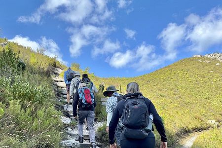 Hermanus Guided Nature Excursions