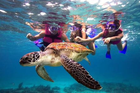 Snorkel, Swim & Snap-w/ Video