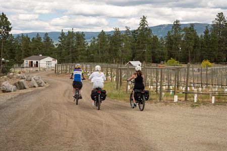 Kelowna Guided E-Bike Wine Tour with Tastings and Okanagan Lunch