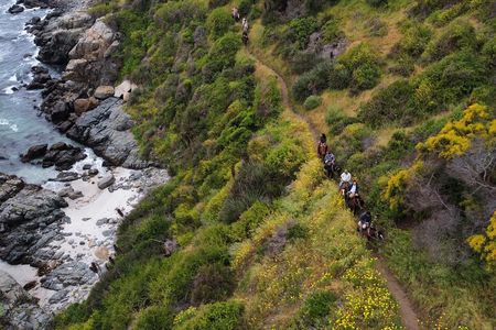 Papudo Tour with Horseback Riding and Penguins