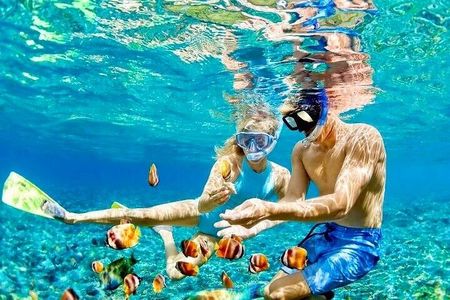 Bohol Province Balicasag Island Day Tour