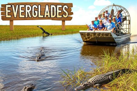 Miami: Everglades Airboat and Wildlife Experience