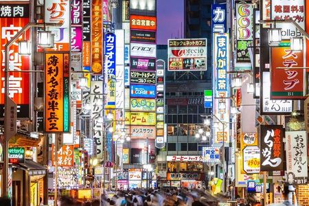 From Tokyo: Full Day Private Tour to Nikko