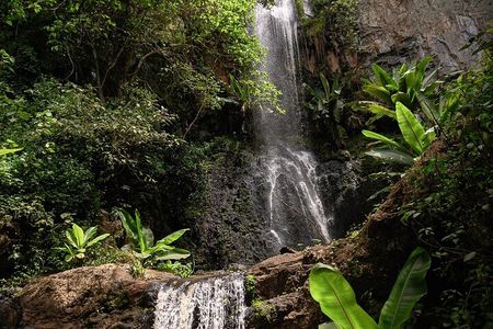 Endoro Falls and Forest Trail Experience