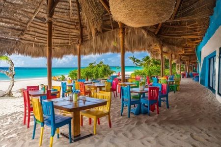 Private Tour of Cozumel in your own way Groups up to 4 People