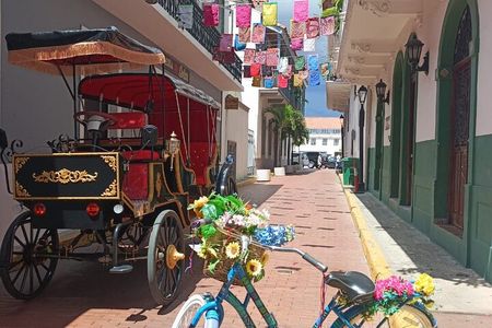 Electric Carriage Tour of the Old Town